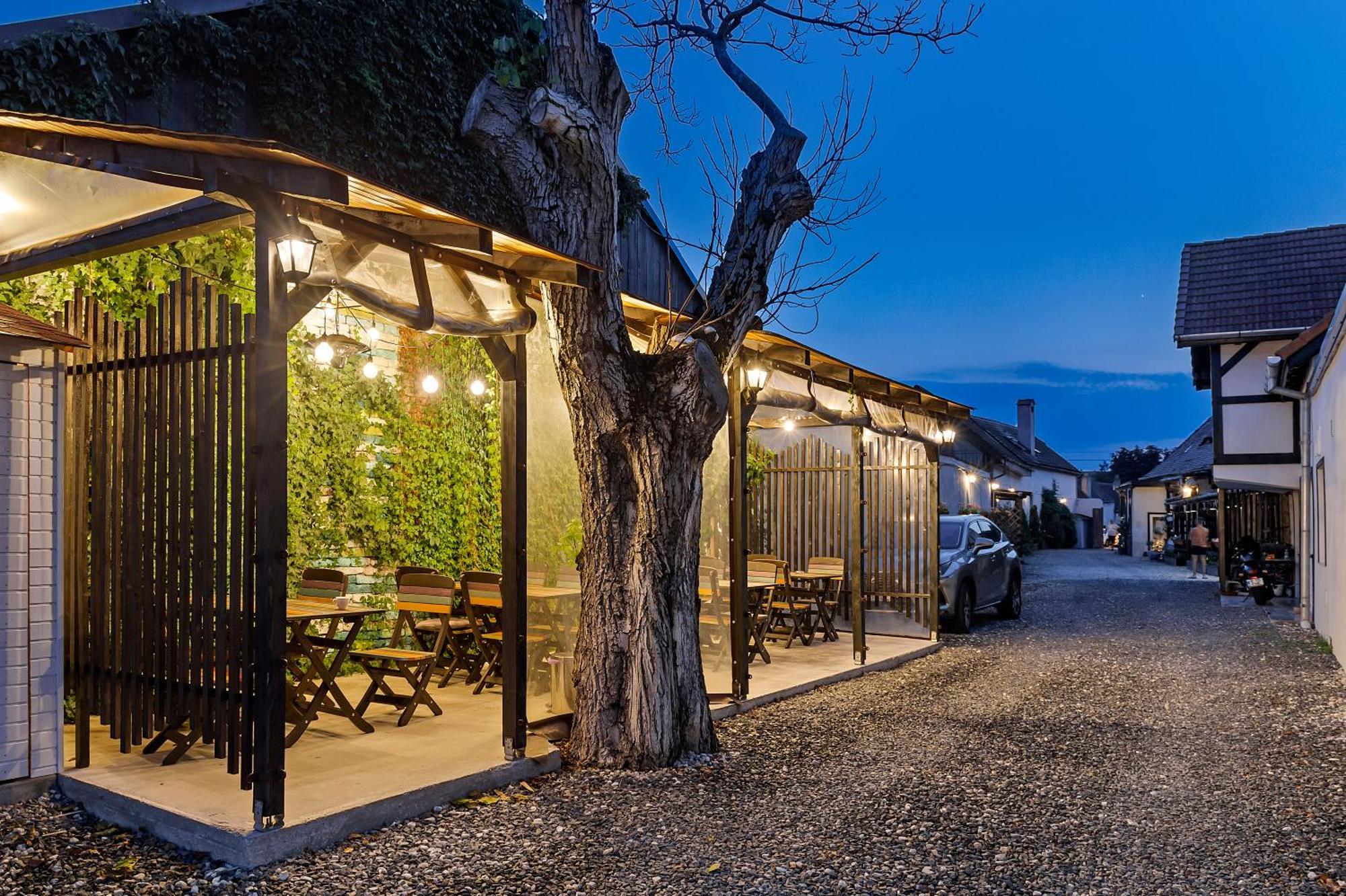 Pensiunea Alina "Adults Only" Sibiu Exterior foto